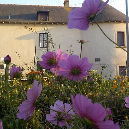 Manoir De La Guignardiere - Charme Et Douceur Chavagne Екстер'єр фото